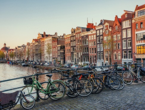 Dutch translation services