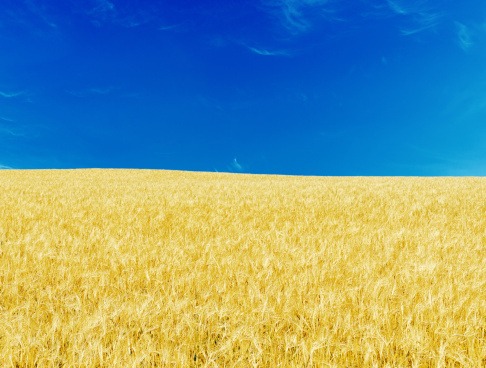 vertaalbureau Oekraïens vertaalbureau Oekraïens